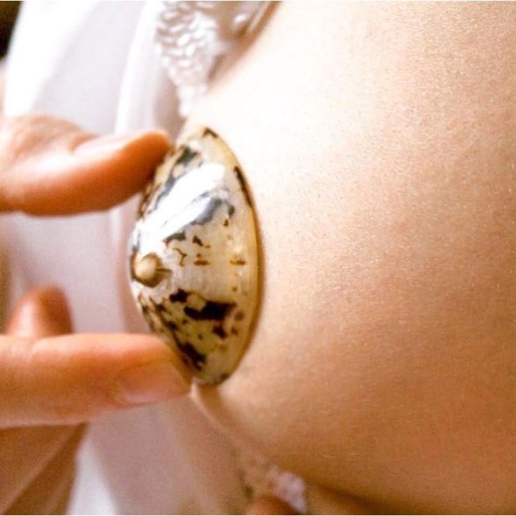 coquillage d'allaitement 100% naturel - accessoire maternité indispensable - parfait pour l'allaitement - haut de gamme - naturel et artisanal - ma Graine de Cigogne